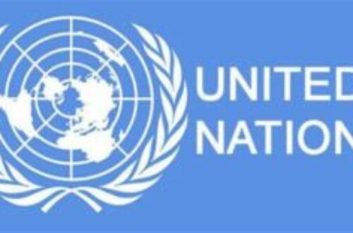 Article : Le Secrétaire général  des Nations Unies nomme Mme Diene Keita, de la Guinée, Directrice exécutive adjointe du Fonds des Nations Unies pour la population (FNUAP)